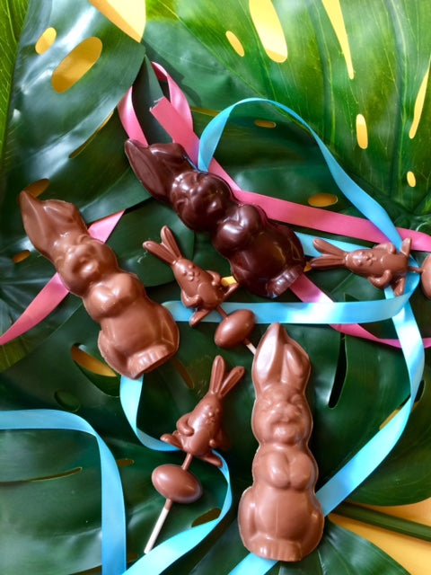 6" Chocolate Bunny with Caramel