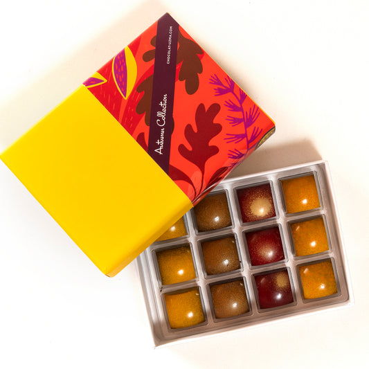 Autumn Collection